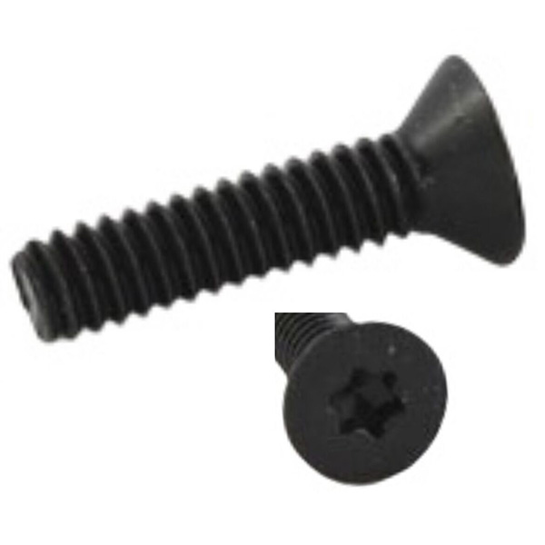 Torx Head Machine Screws, Torx Self Tapping Screws Black